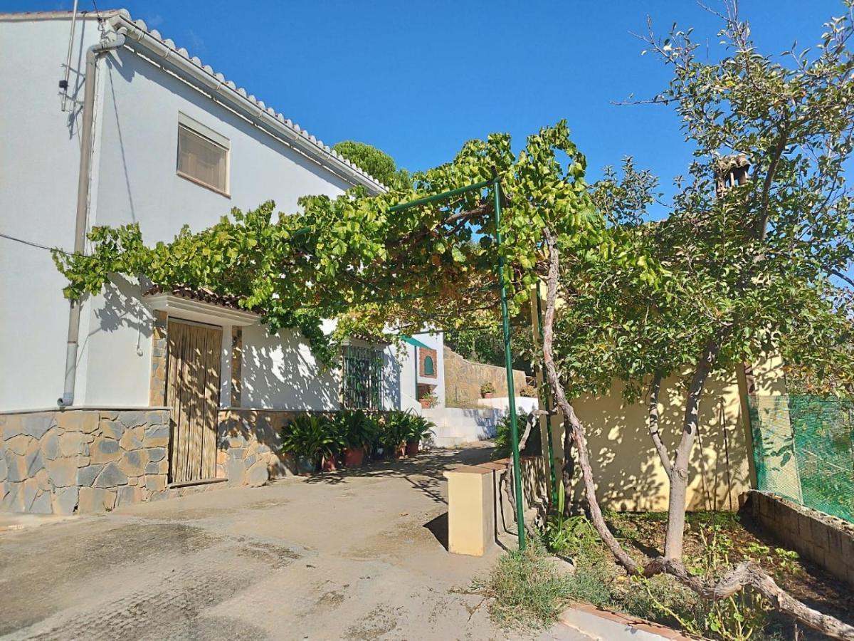 Hostal Casa el Pino Cortes de la Frontera Exterior foto